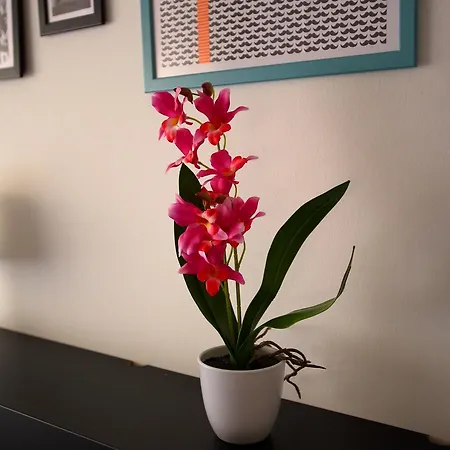 Auberge de jeunesse Dimora *